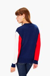 Women - SR Woolen Cashemer Tricolor Sweater, Navy back worn view