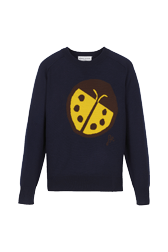 Women Maille - Women Ladybug Print Sweater, Night blue front view
